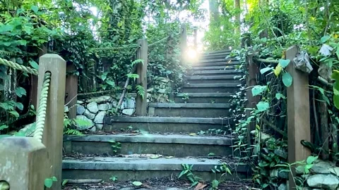 Rainforest Stairs with Sun peaking through Video stock 164677163