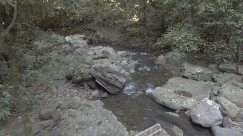 Rainforest stream 1 Stock Footage 97830607