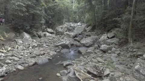Rainforest stream 2 Stock Footage 97856701