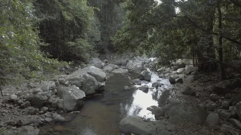 Rainforest stream 3 Stock Footage 97856710