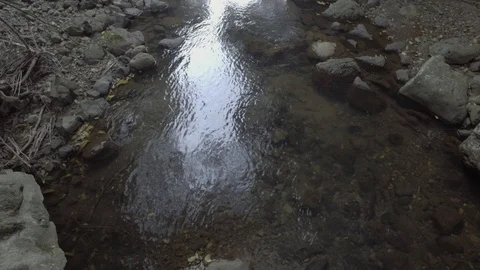 Rainforest stream 5 Stock Footage 97831603