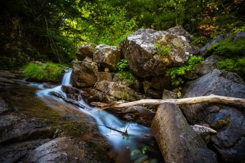 Rainforest stream Stock Photos