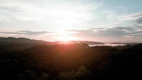 Rainforest sunset drone Stock Footage 279957454