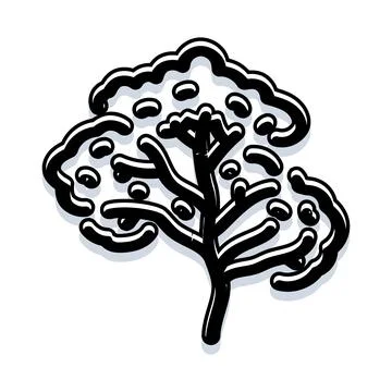 Rainforest tree outline drawing illustration 스톡 일러스트