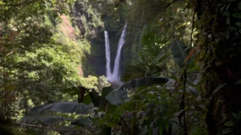 Rainforest Tree Pan Reveals Twin Waterfall, Lush Tropical Jungle Stock Footage 325304261