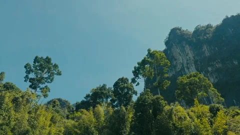Rainforest Tree Tops with Limestone Mountains in the Background Stock Footage 332924597