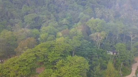 Rainforest in tropical area - drone view of mountain dan smoke Stock Footage 113857074