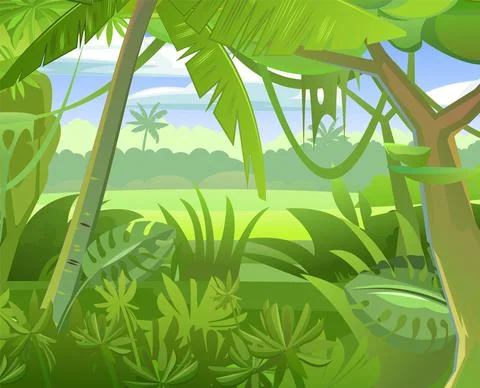 Rainforest vector. Tropical forest panorama. Dense thickets. View from the fo Stock Illustration