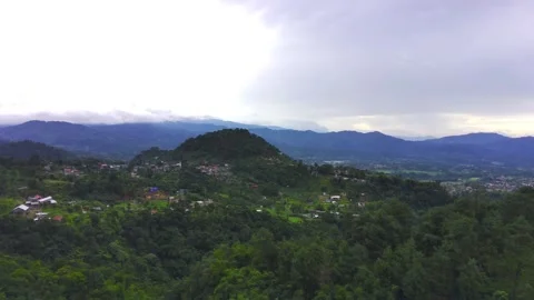 Rainforest view in the morning Stock Footage 277404267
