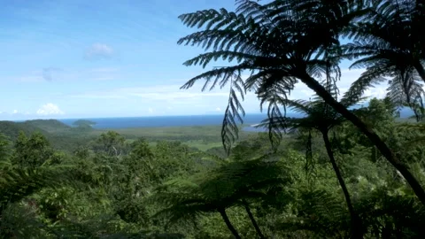 Rainforest viewpoint tropical climate blue sky blue water green lush rainforest 스톡 동영상 132170188