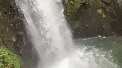 Rainforest waterfall 01 - Slow Motion Video stock 282744318