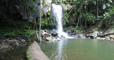 Rainforest waterfall 4K Stock Footage 74755561