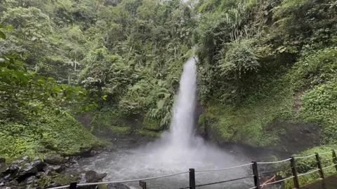Rainforest Waterfall Cascading into Pool, Lush Green Jungle, Scenic Tilt Up Stock Footage 324497525