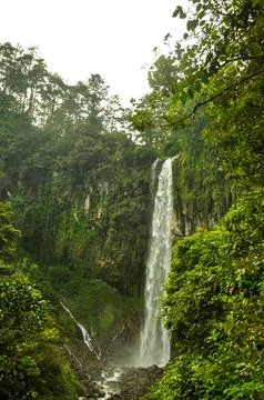 Rainforest Waterfall in Central Java Province. Stock Photos