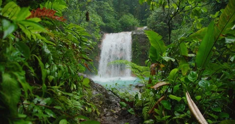 Rainforest waterfall in Costa Rica framed by vibrant green foliage and tropical Stock Footage 344700403