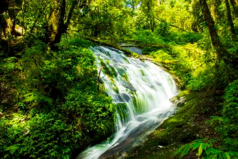 Rainforest waterfall in deep jungle Stock Photos