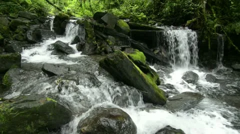 Rainforest Waterfall Stock Footage 11277521
