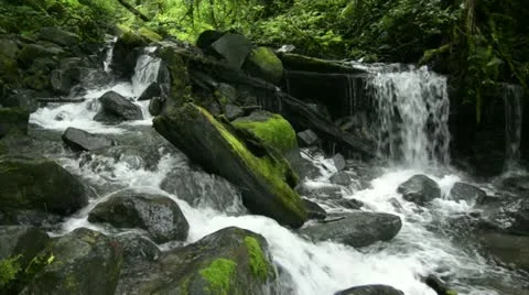 Rainforest Waterfall Stock Footage 11281963