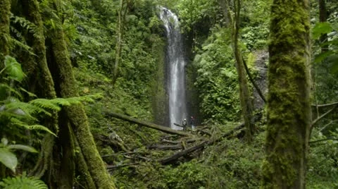 Rainforest waterfall Stock Footage 11430846