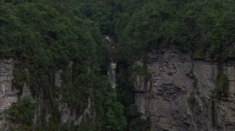 Rainforest Waterfall Stock Footage 39910028