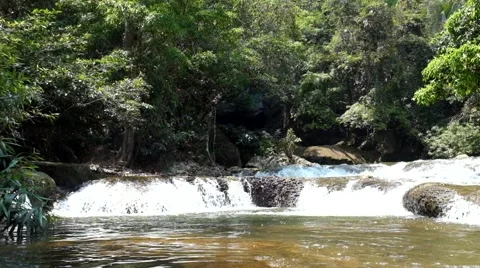 Rainforest Waterfall Stock Footage 48169801
