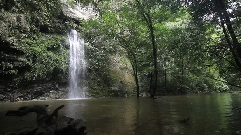 Rainforest waterfall Stock Footage 91489998