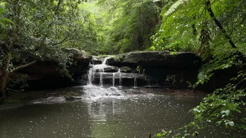 Rainforest waterfall Stock Footage 146055782