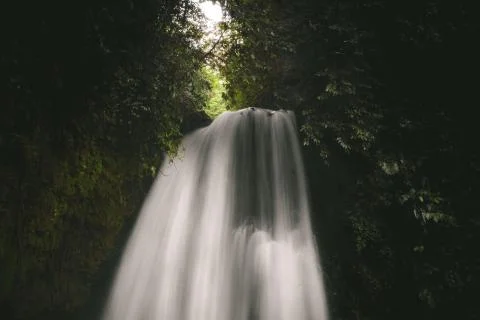 Rainforest Waterfall I Stock Photos