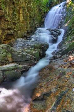 Rainforest Waterfall Stock Photos