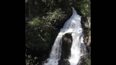 Rainforest waterfall in shadow and sunlight (3097) Video stock 49269285