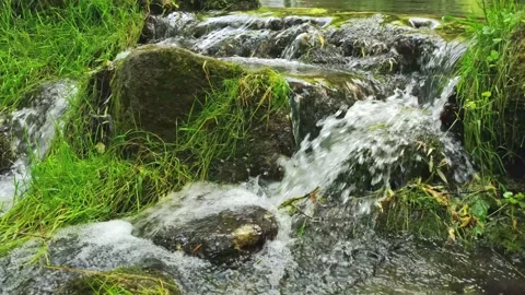 Rainforest waterfall. Stream flowing through rocks in forest. Stock Footage 165262704