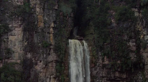 Rainforest Waterfalls Stock Footage 39910036