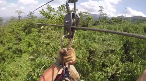 Rainforest zipline Stock Footage 48770530