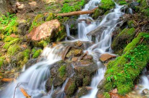 Rainier Waterfall 写真素材