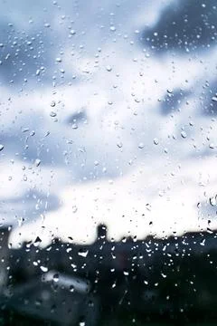 Raining and dews. Stock Photos