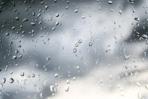 Raining and dews. Stock Photos
