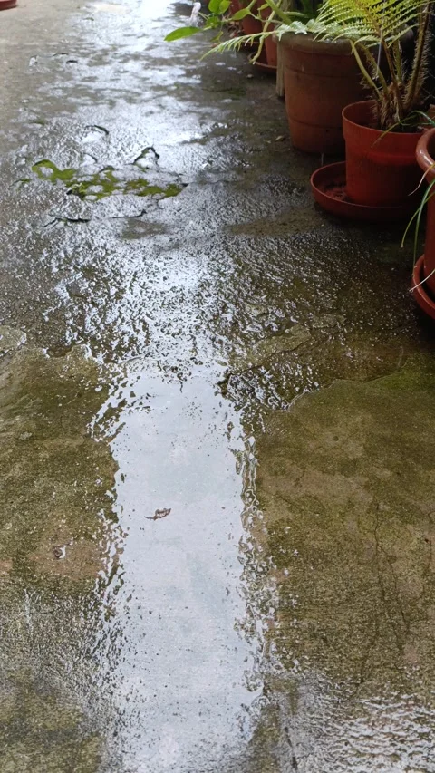 Raining in backyard Stock Footage 322170254