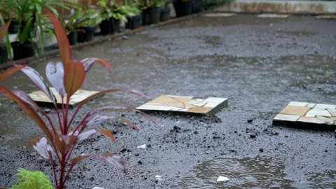 Raining at backyard footage view Stock Footage 202540295