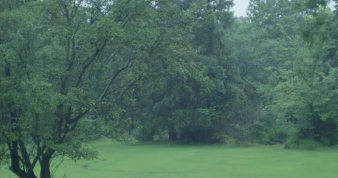Raining in backyard with traffic in the background Stock Footage 137428746