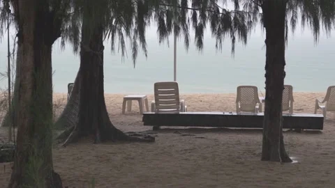 Raining in the beach , Heavy rainfall over tree leaves , Raining day in tropical Stock Footage 195100022