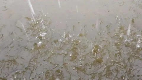 Raining beautiful water dripping in the ground Stock Footage 157237646