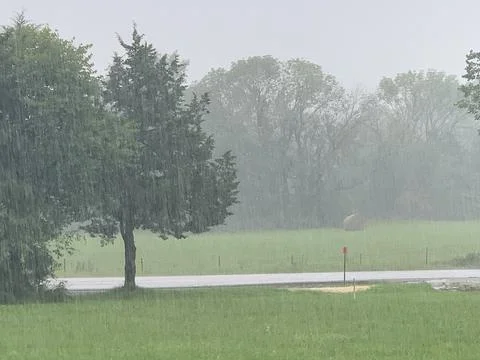 Raining on a blacktop road Stock Photos