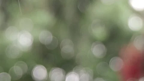 Raining on blur background 1 Stock Footage 161752655