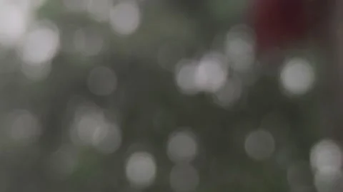 Raining on blur background 2 Stock Footage 161752660