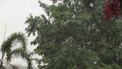Raining on blur background 6 Stock Footage 161754344