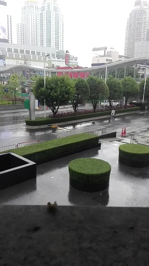 Raining in City Stock Footage 165791300