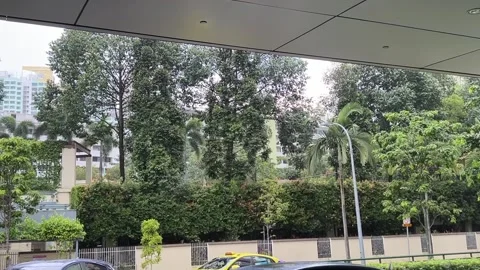 Raining in the City Stock Footage 168856250