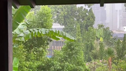 Raining at City Park Stock Footage 167068651