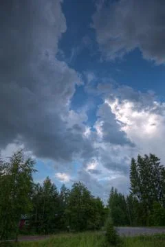 Raining clouds over forest Stock Photos
