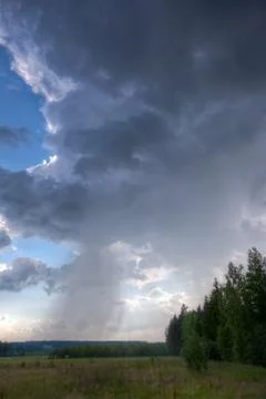 Raining clouds over forest Stock Photos
